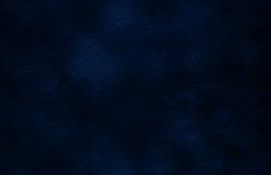Deep Navy Siding